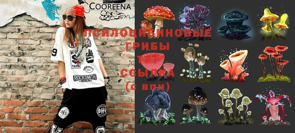 прущая мука Карталы