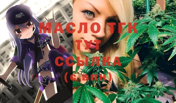 эйфоретик Каменка