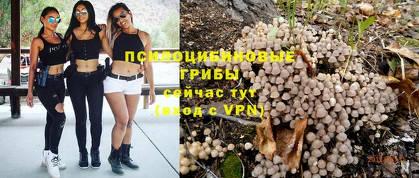 прущая мука Карталы