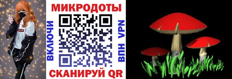 Купить где  Кудрово  Псилоцибиновые грибы прущие грибы 